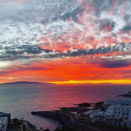 Tenerife Blue Dream *